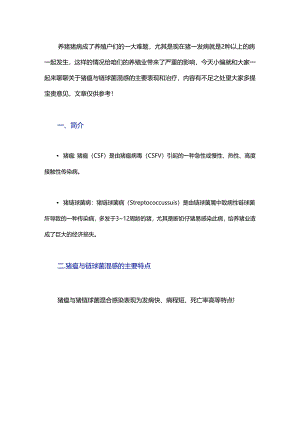 猪瘟与链球菌混感的防治措施你了解多少？.docx