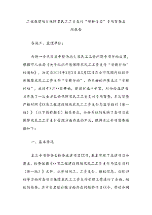 工程在建项目保障农民工工资支付“安薪行动”专项督查总结报告.docx