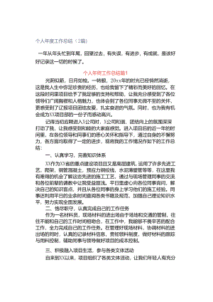 个人年度工作总结（2篇）.docx