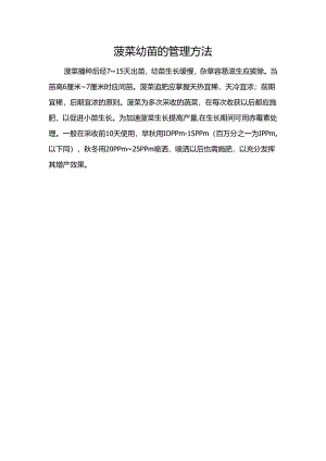 菠菜幼苗的管理方法.docx