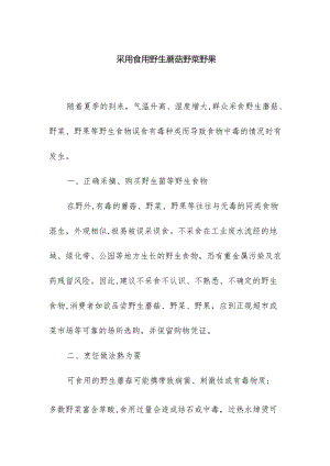 采用食用野生蘑菇野菜野果.docx