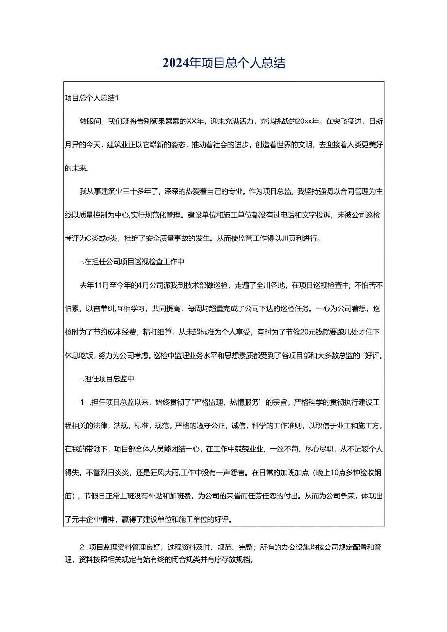 2024年项目总个人总结.docx_第1页