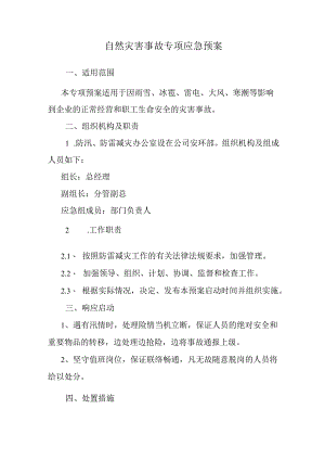 自然灾害事故专项应急预案.docx