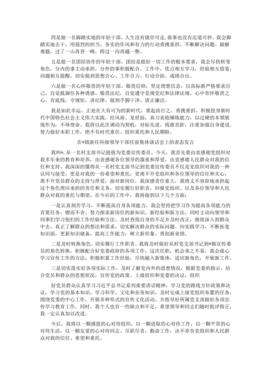 在镇新任科级领导干部任前集体谈话会上的表态发言(5篇).docx_第2页