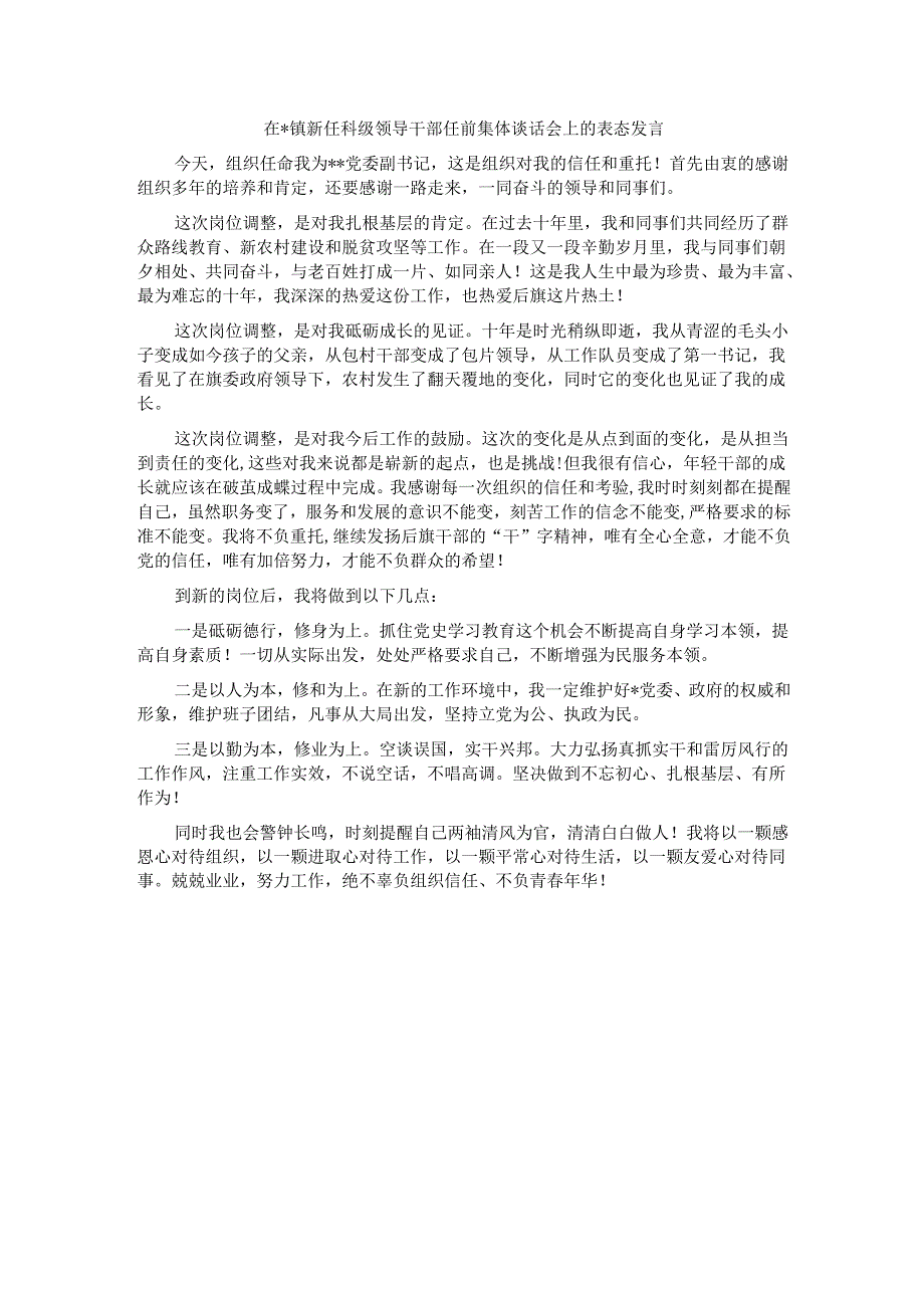 在镇新任科级领导干部任前集体谈话会上的表态发言(5篇).docx_第3页