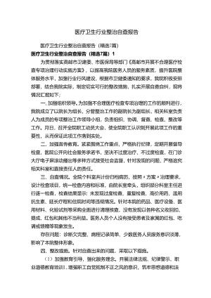 医疗卫生行业整治自查报告.docx
