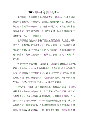3000字财务实习报告.docx