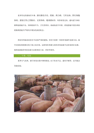 夏季猪多发疾病的急救措施.docx