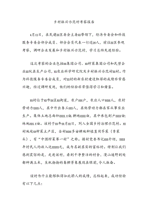 乡村振兴示范村考察报告.docx