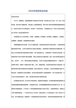 2024年项目体会总结.docx