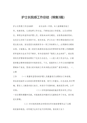 护士长院感工作总结(锦集3篇).docx