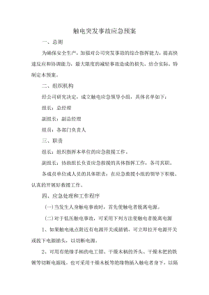 触电突发事故应急预案.docx