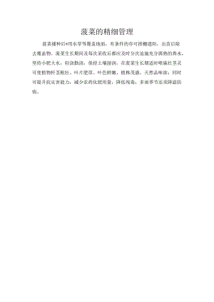 菠菜的精细管理.docx