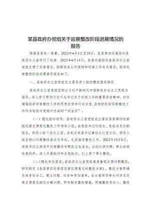 某县政府办党组关于巡察整改阶段进展情况的报告&在巡察组巡察反馈会上的表态发言.docx