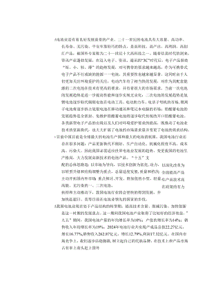 电池行业投资报告 2024(doc).docx