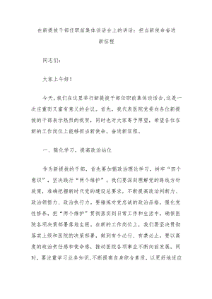 在新提拔干部任职前集体谈话会上的讲话：担当新使命奋进新征程.docx
