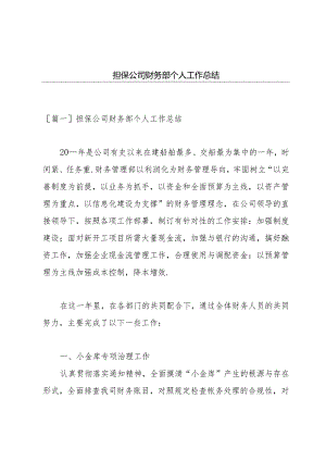 担保公司财务部个人工作总结.docx