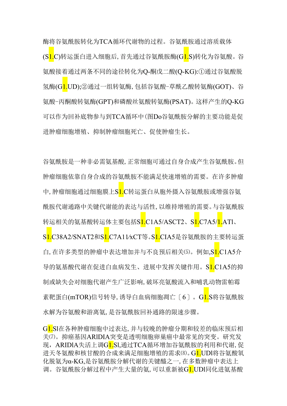 靶向谷氨酰胺代谢增强抗肿瘤免疫和免疫治疗的研究进展2024.docx_第2页