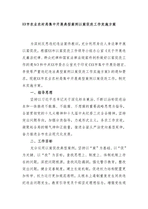 XX市农业农村局集中开展典型案例以案促改工作实施方案.docx