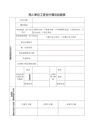 用人单位工资支付情况自查表.docx