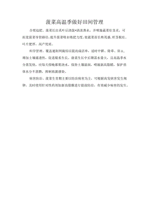 菠菜高温季做好田间管理.docx