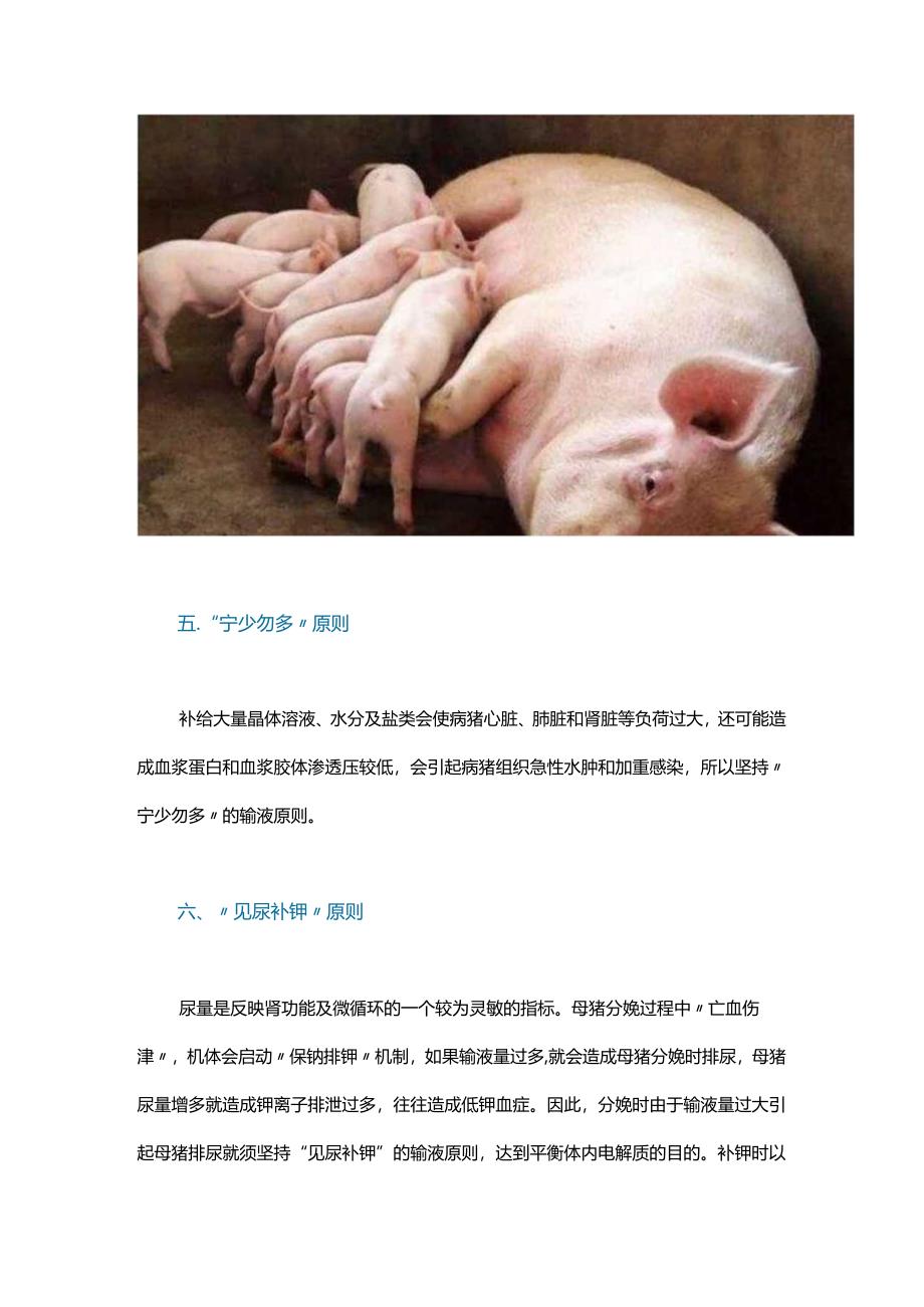 分娩母猪在输液中需要注意的7大事项！.docx_第3页