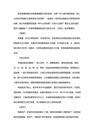 猪得了布鲁菌病有什么表现？要怎么去防治？.docx