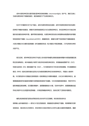 成年哺乳类神经发生在脊髓损伤修复方面的研究进展.docx