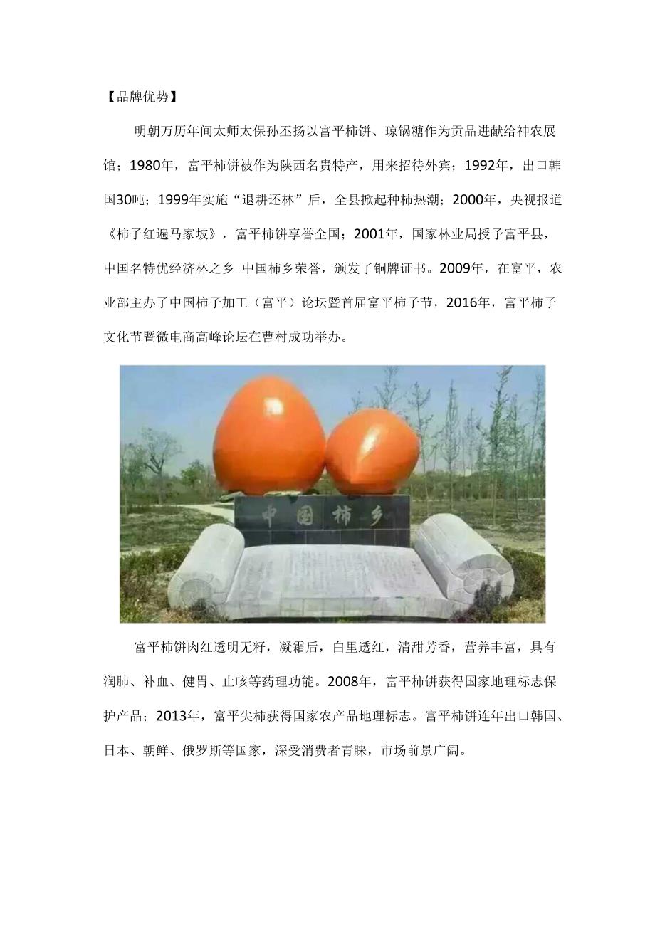 富平柿饼供应链方案.docx_第3页