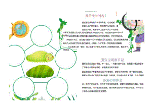 幼儿园蚕宝宝观察日记.docx