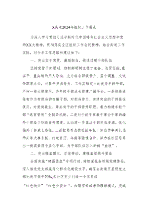 X街道2024年组织工作要点.docx