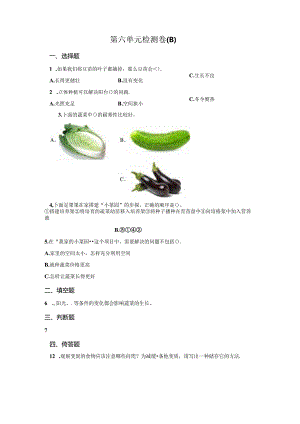 冀人版科学四年级下册第六单元我家的小菜园分层训练（B卷提升篇）.docx