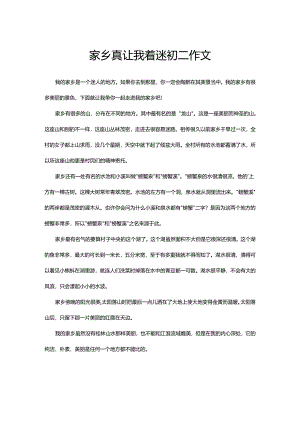 家乡真让我着迷初二作文.docx