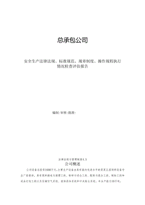 安全生产法律法规规章制度执行情况检查评估报告.docx