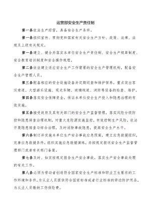 运营部安全生产责任制.docx