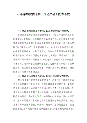 在市某局党委巡察工作动员会上的表态发言.docx