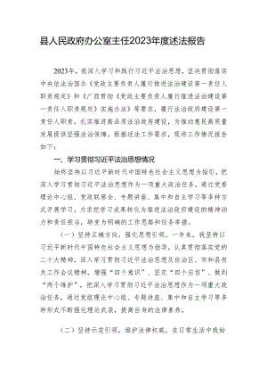 县人民政府办公室主任2023年度述法报告.docx