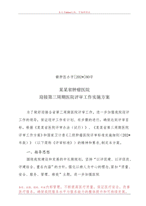 第三周期医院评审工作实施方案.docx