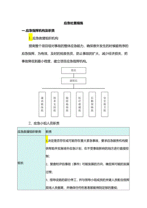 应急处置措施.docx