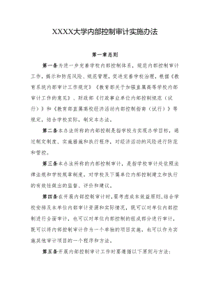 大学内部控制审计实施办法.docx