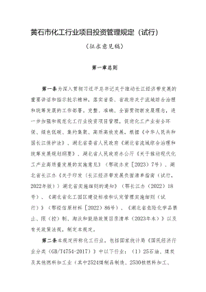 黄石市化工行业项目投资管理规定（试行）.docx