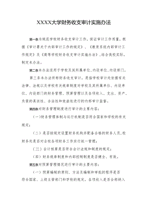 大学财务收支审计实施办法.docx