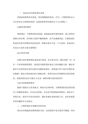 销售团队管理经验技巧.docx