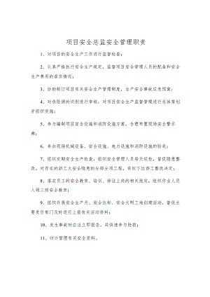 项目安全总监安全管理职责.docx