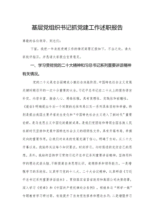 基层党组织书记抓党建工作述职报告19.docx