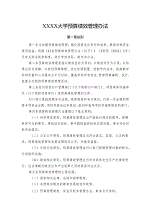 大学预算绩效管理办法.docx