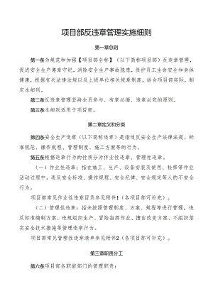 项目部反违章管理实施细则.docx