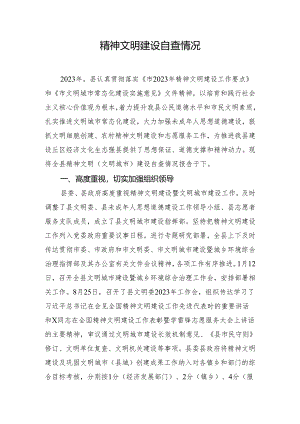 精神文明建设自查情况.docx
