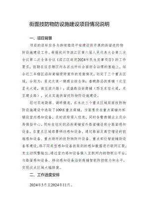 街面技防物防设施建设项目情况说明.docx