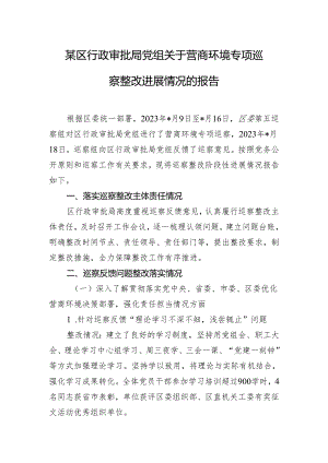 某区行政审批局党组关于营商环境专项巡察整改进展情况的报告.docx